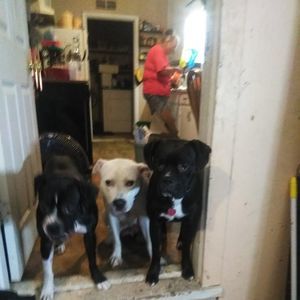 Meet your Posher, Cheryl